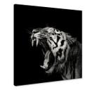 Canvasbillede - Meermann - Tiger