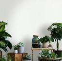 Almindeligt tapet, non-woven Novamur Jackie hvid