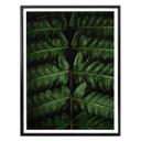Plakat - Botanical 02