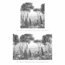 Fototapete Idyllische Pflanzenlandschaft - Ms Tiff - 192x192 cm