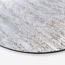 Billede af birkeskov om vinteren - EMELIEmaria - rund – print på aluminium (Alu-Dibond)