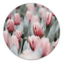 Tableau sur alu-Dibond Annie - Tulipes de printemps - Rond