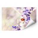 Zelfklevende Poster Little Friend