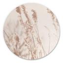 Tableau en alu-Dibond Graminées au soleil - Rond