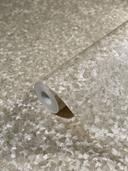 Non-woven tapet med små skinnende blade beige ensfarvet af Harald Glööckler