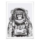 Póster Mono Espacial