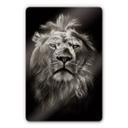 Tableau en verre - Lion