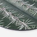Tableau sur alu-Dibond rond 1X Studio - Cactus