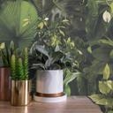 Papel pintado selva verde negro - Papel no tejido con hojas tropicales - Papel pintado vegetal