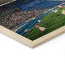 Billede af træ Hertha BSC - Blå og hvid koreografi på det olympiske stadion