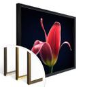 Plakat - Grønkjær - First Tulip