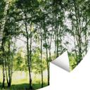 Fototapet - Rundt Sunshine Forest - vliesetapet/selvklæbende non-woven tapet