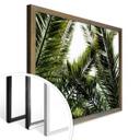 Póster de la palmera datilera