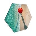 Hexagone - alu-Dibond Ambra - Au bord de la mer