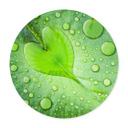 Póster Foto - Corazón de gotas de agua sobre hoja verde - Redondo