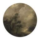 Póster Árboles en la bruma crepuscular - Hobday - Redondo