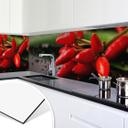 Revêtement pour cuisine - Alu-Dibond - Piments exotiques