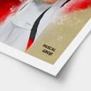 Póster, Cuadro DFB Medidas grandes