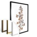 Poster Disher - Hortensia