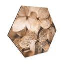 Hexagone - Alu-Dibond Annie - Fleurs délicates