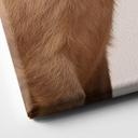 Canvasbillede Kælende capybara-par