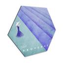 Hexagon Dibond Rivers - Provence