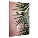 Cuadro lienzo hoja de palmera delante de pared rosa - Böhmer