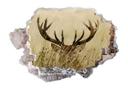3D Wallsticker hjort i voks