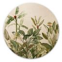 Cuadro de madera Botánica tropical - Diseños ONU - Redondo