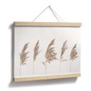 Plakat - Reed Grass