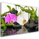 3 stykke lærred print Zen blomster bambus sten