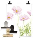 Póster Disher - Flor de verano