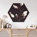 Hexagon Dibond Treechild - Magnolia Blossoms