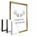 Póster - Expecto Patronum