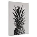 Lienzo 1X Estudio - Piña