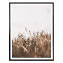 Plakat - Annie - Meadow Grass