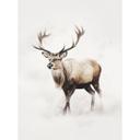 Fotomural ciervos en blanco invierno | ciervos papel pintado decoración de invierno - Magnusson