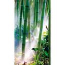 Fototapete Bamboo Forest 144x260 cm