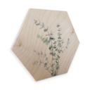 Hexagon Hout Sisi & Seb - Eucalyptustak