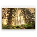 Tableau Forex - Forêt enchantée