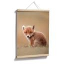 Plakat - van Duijn - Baby fox
