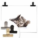 Póster gatito juguetón