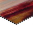 Billede Lysende felt i sollyset - Schmucker – print på aluminium (Alu-Dibond)