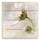 Cuadro de madera Disher - Cosmos - 40x41,5 cm