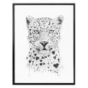 Plakat - Solti - Kærlig leopard
