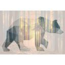 Architects Paper Papier peint photo Atelier 47 Bear Forest animal