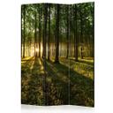 Screen room divider - Morgen i skoven, 3-delt