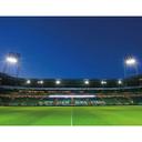Fototapet Weserstadion-tribune 336x260 cm