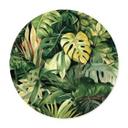 Póster de plantas selváticas - Jaszke - Redondo