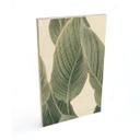 Cuadro de madera Calathea planta - Sisi & Seb
